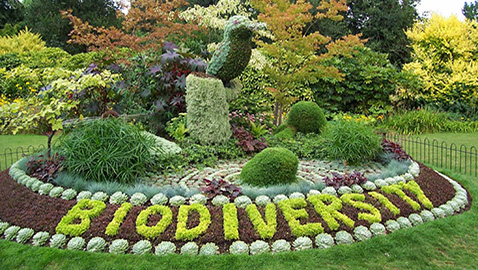 Biodiversity