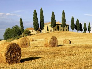 Toscana