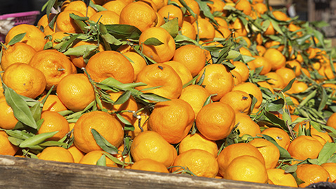mandarini_marocco