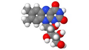 riboflavina-corbucci_n