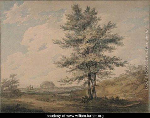 Landscape with Trees and Figures, William Turner 