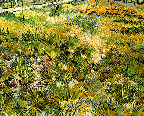 Meadow in the Garden of Saint-Paul Hospital - Vincent Van Gogh