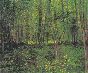 Alberi e sottobosco (Parigi, estate 1887)