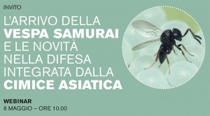 vespa_samurai_webinar