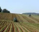 Legge di Bilancio: oltre 100 milioni di euro a sostegno dell’agricoltura e dell’allevamento italiano
