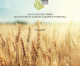 Brochure AUDAF – Associazione Umbra dei Dottori in Scienze Agrarie e Forestali