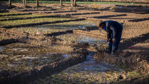 Il nuovo rapporto della FAO sulle risorse idriche e del suolo traccia un quadro allarmante