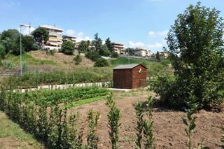 La campagna romana si fa un selfie