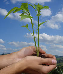 Agroecologia: base scientifica per l’agricoltura sostenibile