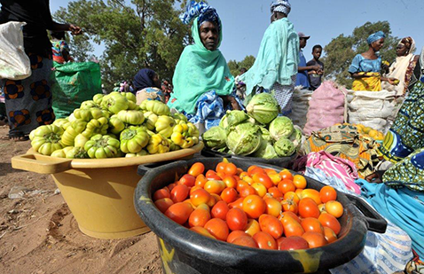 Le donne determinanti per la sicurezza alimentare