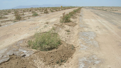 Prevenzione e mitigazione delle tempeste di sabbia (SDS) in Iran