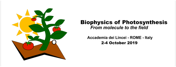 Biophysics of Photosynthesis: from molecules to the field