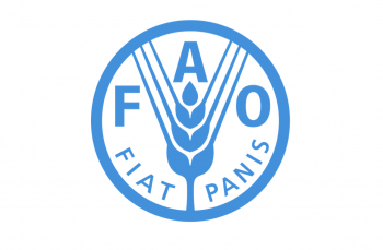 Rapporto FAO sullo stato della sicurezza alimentare e nutrizionale del 2019