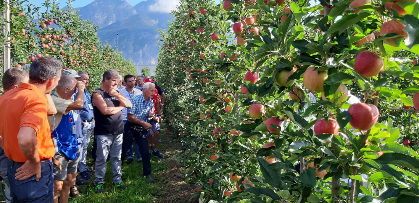 Corso per imprenditori agricoli, domande di iscrizione entro il 15 ottobre