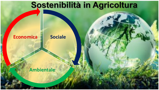 Un questionario sulla percezione della sostenibilità in agricoltura