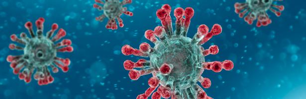 One Health: la lezione del Coronavirus
