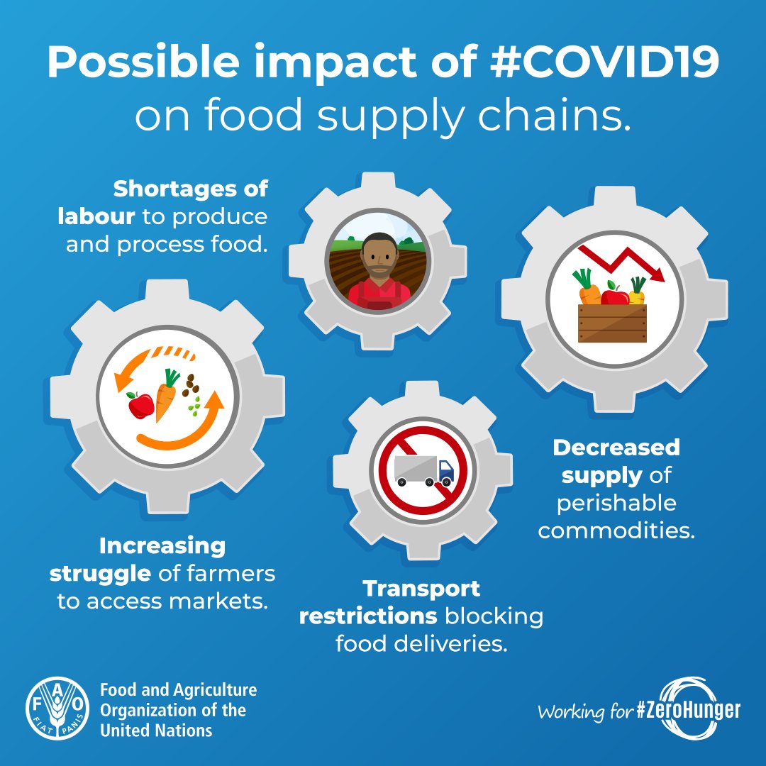 Q&A della FAO: Pandemia di COVID-19 – impatto su agricoltura e alimentazione