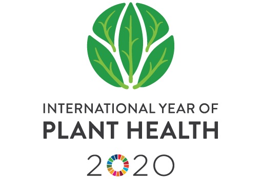 2020: l’Anno Internazionale della Salute delle Piante