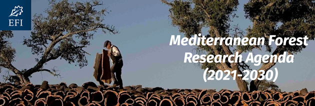 Mediterranean Forest Research Agenda (2021-2030)