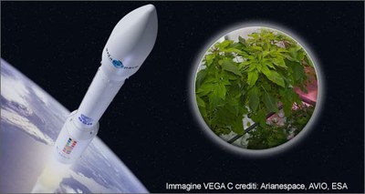 Innovazione: è made in Italy il primo micro-orto in orbita per coltivare verdure nello spazio