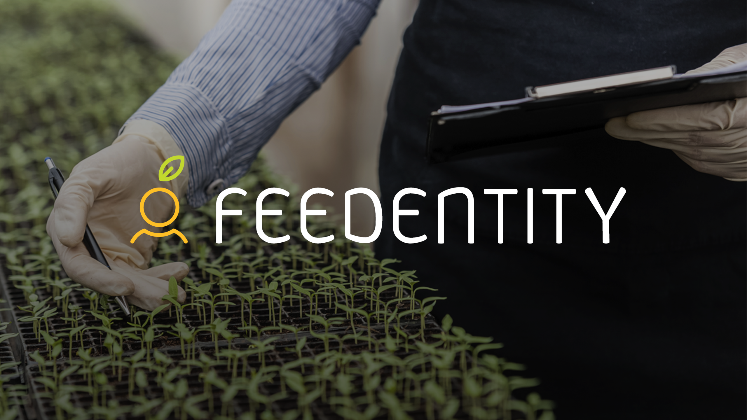 Feedentity: l’innovazione che ha aiutato centinaia di imprenditori del settore agroalimentare