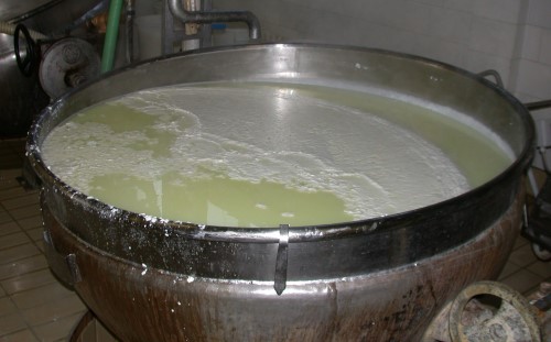 Il siero di latte non e’ un rifiuto ma una preziosa materia prima