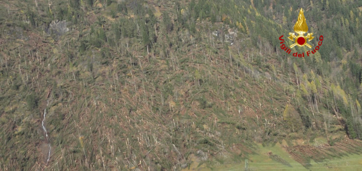 I danni da vento nelle foreste Europee