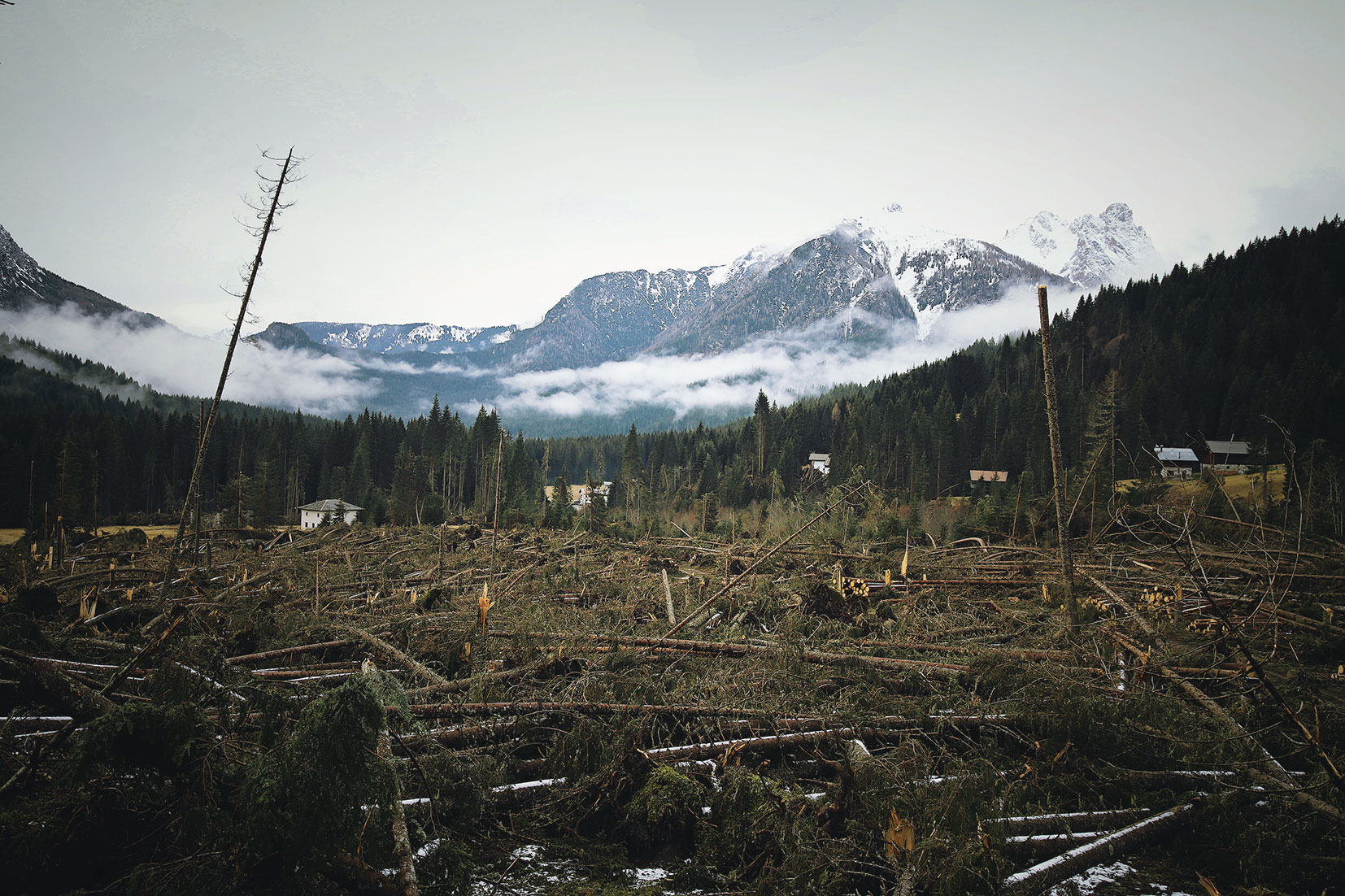 TESTO UNICO IN MATERIA DI FORESTE E FILIERE FORESTALI: IL PAESAGGIO, I BENI (E I BOSCHI), E GLI INTERVENTI DA CONCORDARE