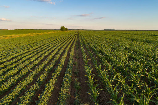 Agro-industria e Green Deal un percorso complesso e con molte incognite
