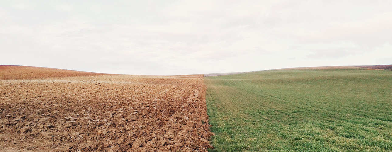 Disponibile il video de “I servizi ecosistemici del suolo: quale futuro?”