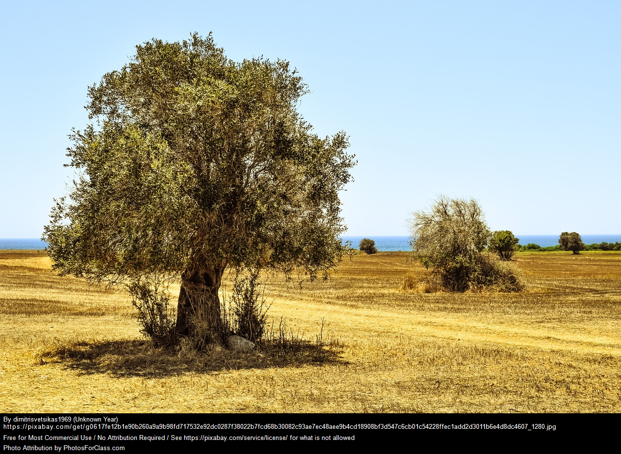 Le forti pressioni di abbandono nella dinamica del paesaggio rurale delle province di Brindisi e Lecce dal 1971 al 2001