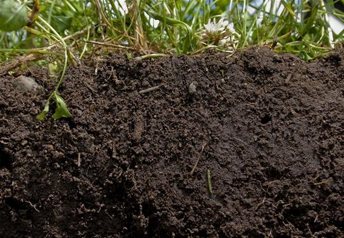 Il protocollo FAO per monitorare la gestione sostenibile del suolo