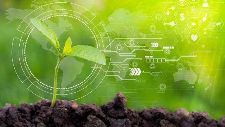 South Up!, la call Agritech e Agroenergia per sostenibilità e sviluppo del Sud Italia