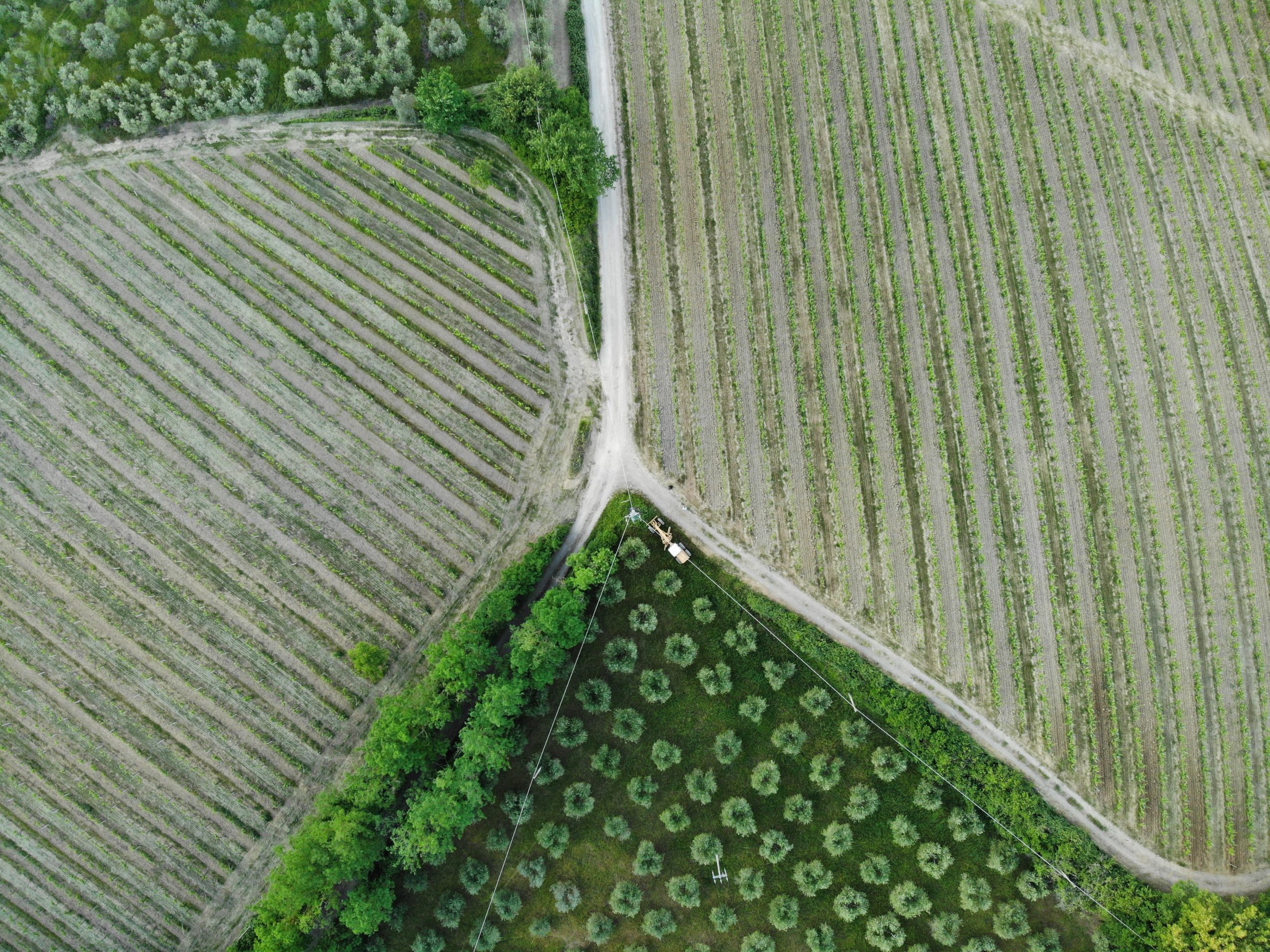 Aspetti critici delle misure agricole del PNRR