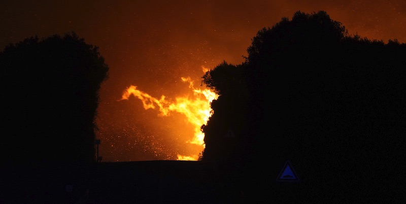 L’importanza della gestione forestale nella prevenzione degli incendi