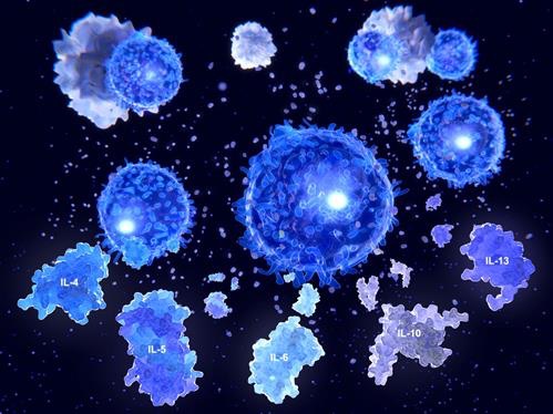 Influenza dell’agricoltura sul sistema immunitario nelle popolazioni umane
