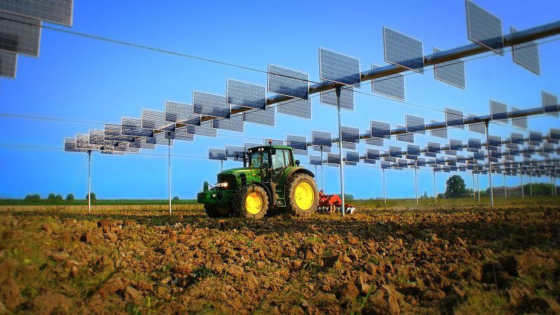 Combinare la produzione agricola e quella energetica: la sfida dell’agrivoltaico
