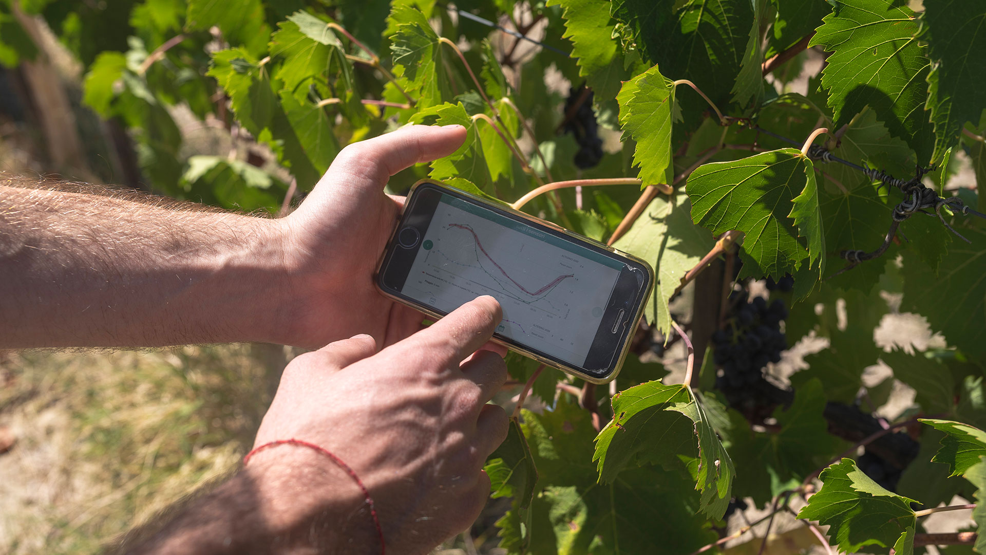 Aperte le iscrizioni alla seconda edizione di Siena Food Lab Academy, il corso di alta formazione per la crescita delle competenze nell’agrifood