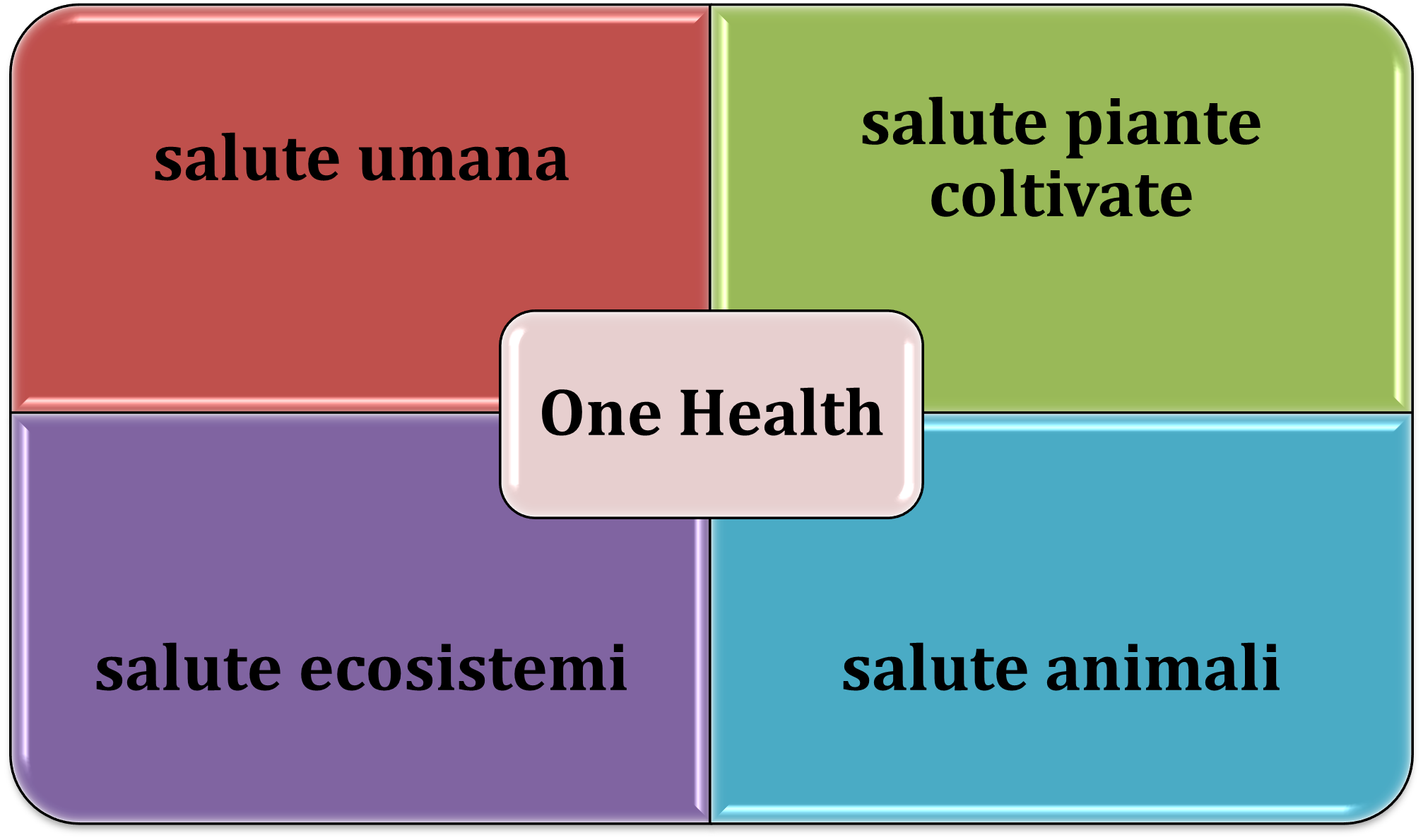 Covid-19 e sicurezza alimentare: necessità dell’approccio One Health