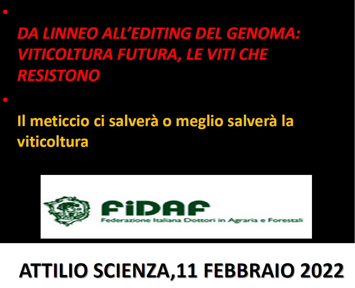 Venerdì Culturale dell’11.02.2022 “Da Linneo all’editing del genoma: viticoltura futura, le viti che resistono” – Diapositive