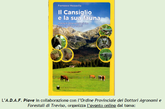 10 maggio 2022 – Evento online “Il Cansiglio e la sua fauna”