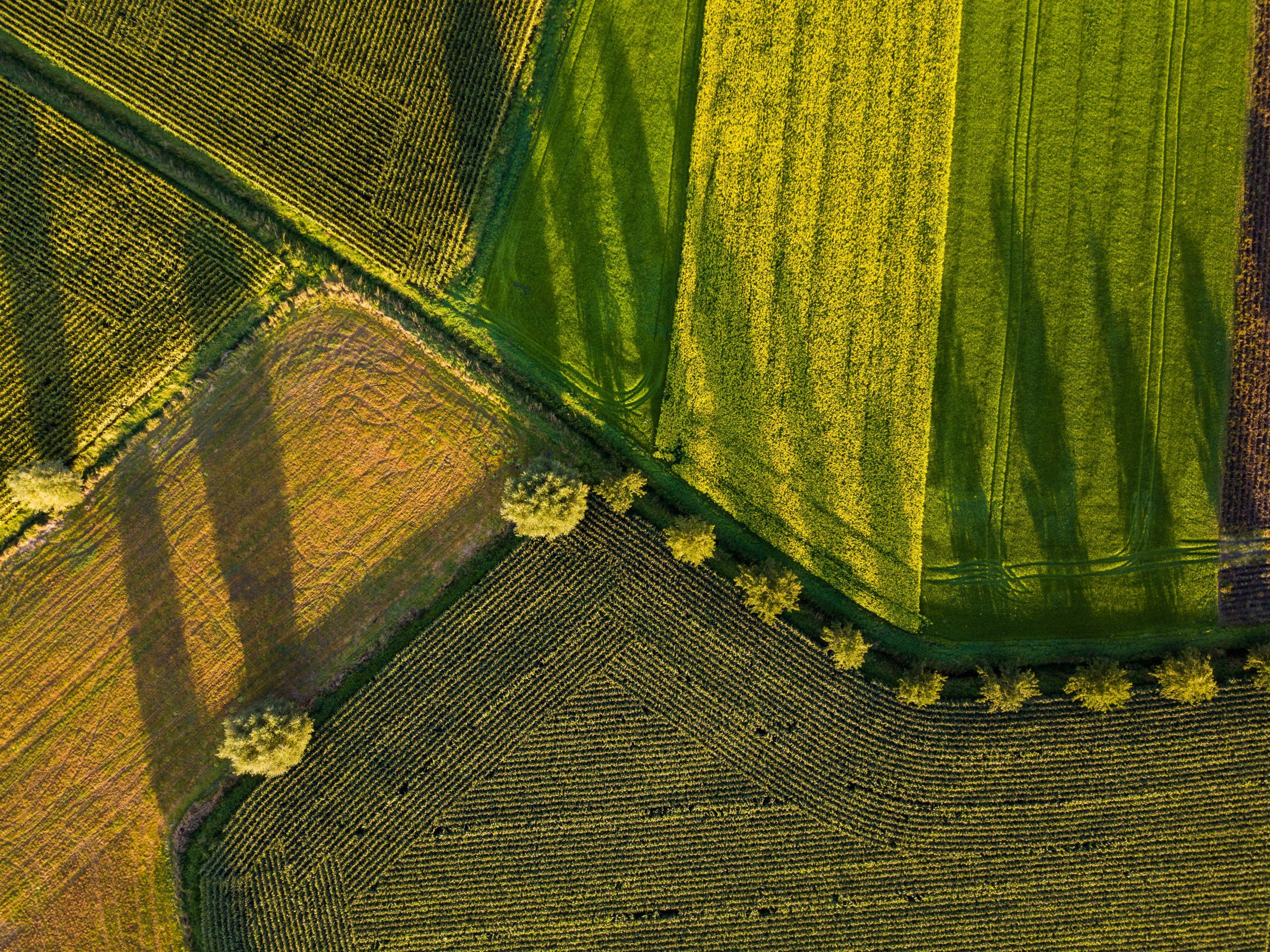 Il possibile impatto della guerra in Ucraina sulle quotazioni dei terreni agricoli italiani ed europei