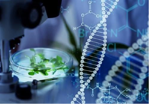 Position Paper di CL.A.N., SPRIN e Assobiotec su “Genome Editing”