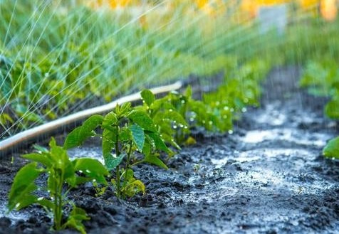 Premio “L’acqua bene essenziale per l’agricoltura in relazione a produttività e sostenibilità”