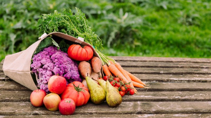 Rapporto ONU: salite a 828 milioni nel 2021 le persone che soffrono la fame nel mondo