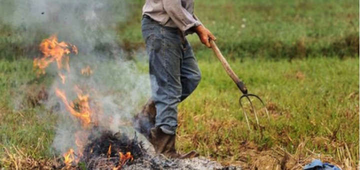 Le principali motivazioni delle cause di innesco degli incendi forestali