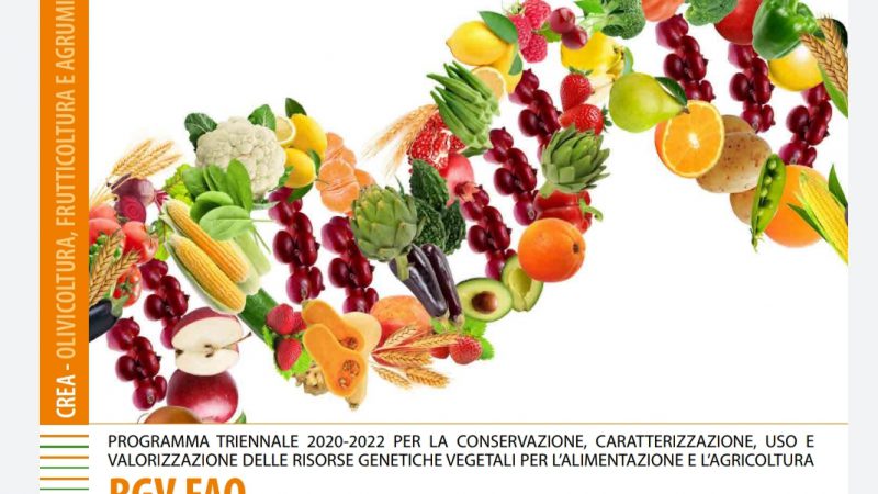 Agrobiodiversità: presentati i risultati del Programma RGV FAO 2020-2022, coordinato dal CREA