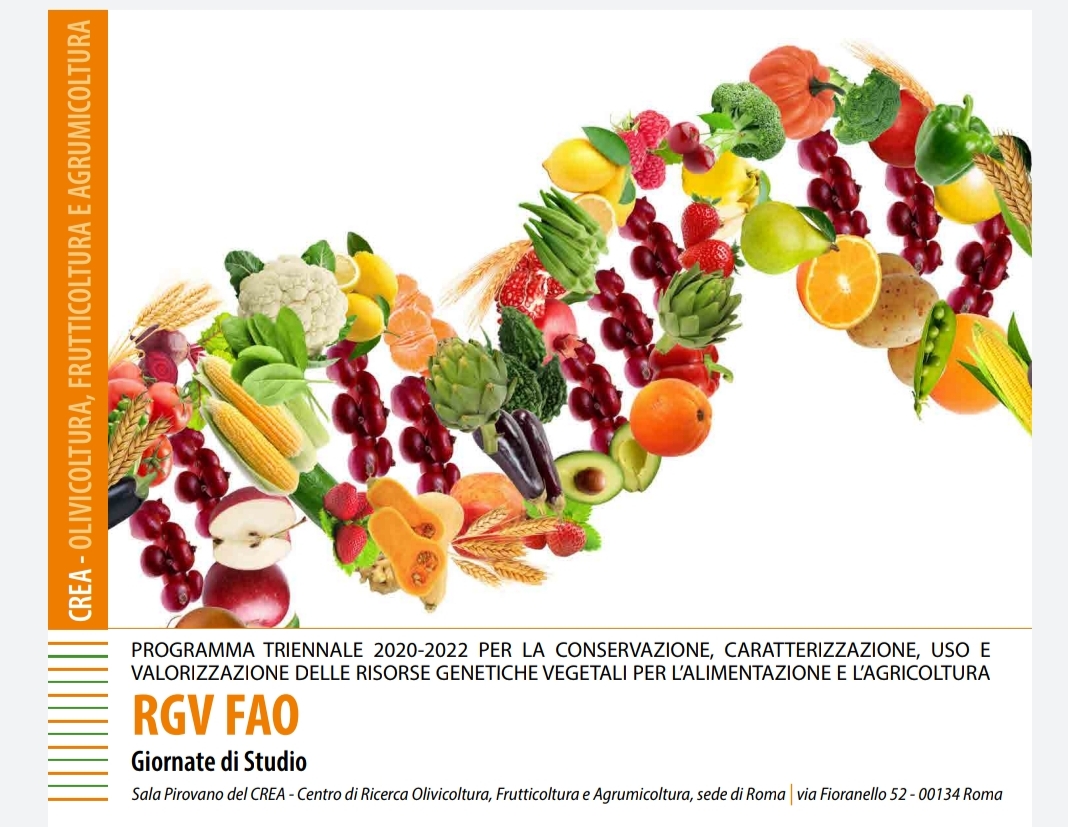 Agrobiodiversità: presentati i risultati del Programma RGV FAO 2020-2022, coordinato dal CREA