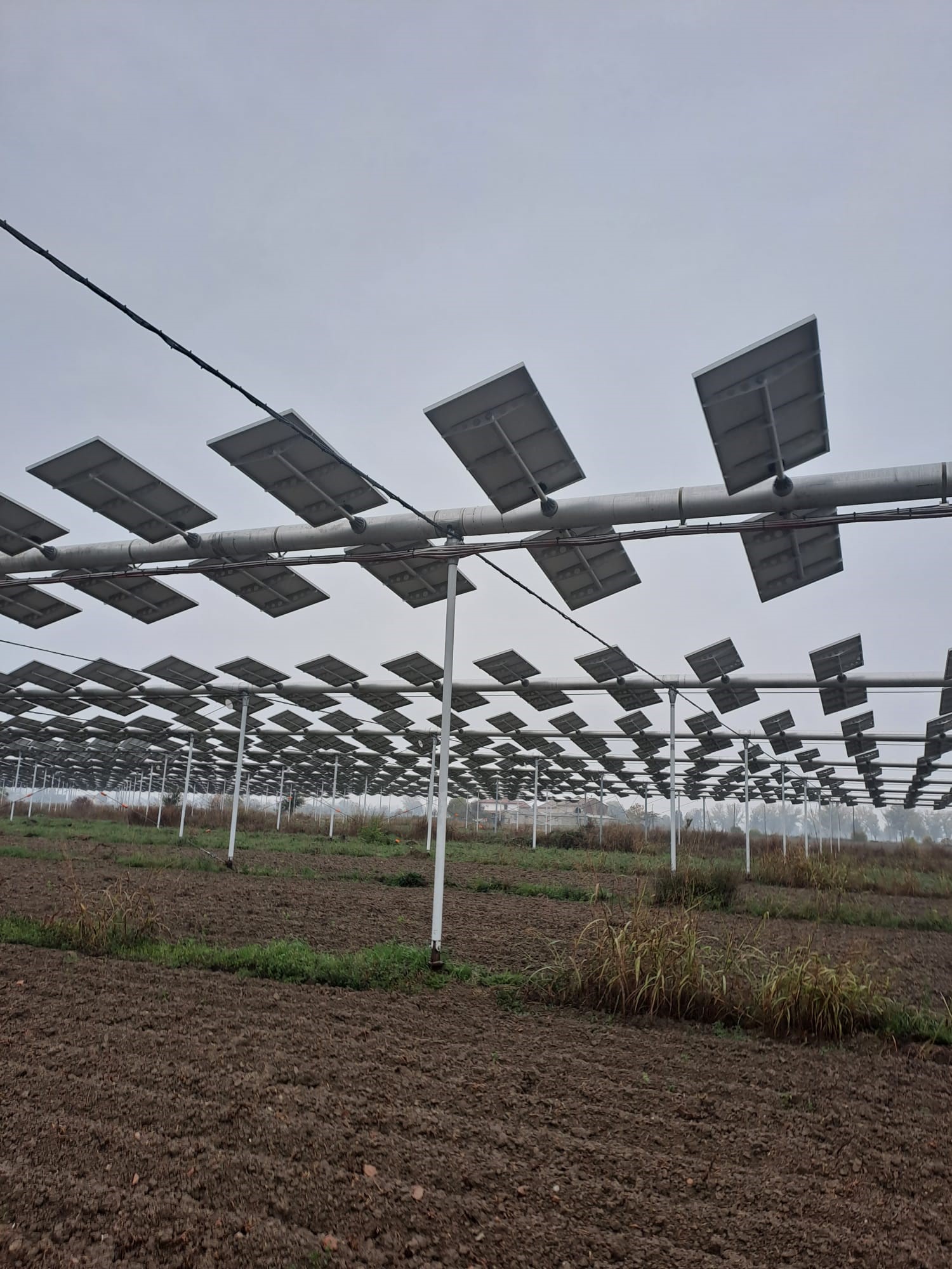 L’agrivoltaico nelle imprese agricole e l’autoconsumo dell’energia