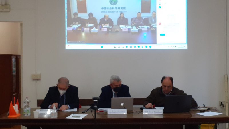 FIDAF e Accademia Cinese: successo del seminario cino-italiano di scienze forestali